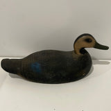 Black duck by the Animal Trap  Co