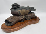 Bronze wood duck