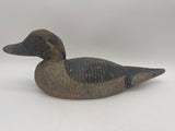 Padco Co. pintail Drake