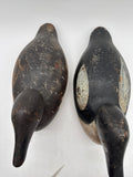 Mason goldeneye pair