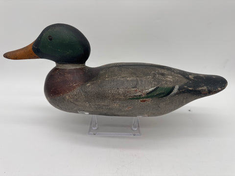 Mason standard grade mallard drake