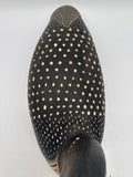 new loon