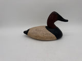 canvasback drake