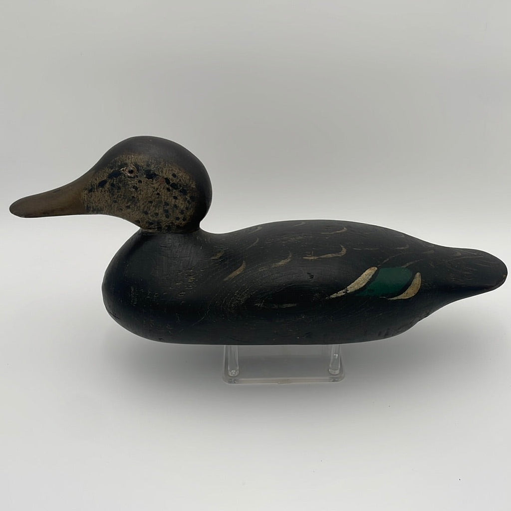 Mason Standard Grade Black Duck