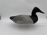 Canvasback drake by James Holly