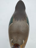 Mason green wing teal
