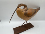 curlew