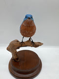bluebird