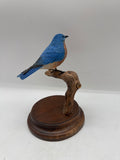 bluebird