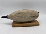 Mason pintail drake