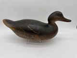 Mason Premier Mallard Hen