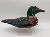 wood duck drake