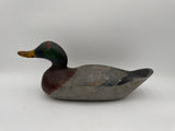 Mason Challenge Grade Mallard Drake