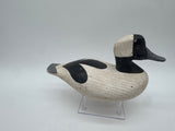 Bufflehead drake