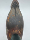 Mason Mallard drake, premier