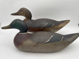 Mason challenge grade mallard pair