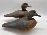 Blue wing teal pair