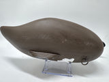 Canvasback hen