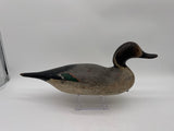 Mason pintail drake in challenge grade