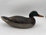 EARLY Mason premier mallard drake