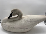 3/4 swan
