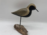 Black bellied plover by Illinois artist Charlie Moore