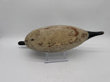 Mason pintail drake in challenge grade