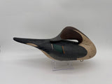 Sleeping pintail