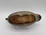 Mason challenge grade blue wing teal hen