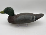 Animal Trap Mallard drake