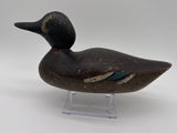 Mason rare blue winged teal drake