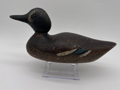 Mason rare blue winged teal drake