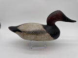 Mason Challenge Grade Canvasback Drake