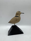 shorebird peep