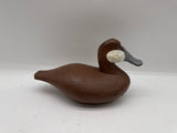 Ruddy duck