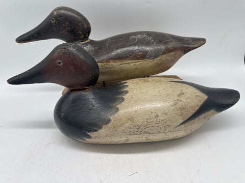 Pair Mason canvasbacks
