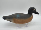 Blue Winged Teal drake by Animal Trap Decoy Co