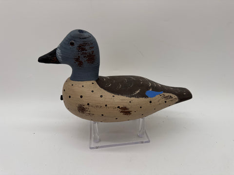 Blue winged teal drake