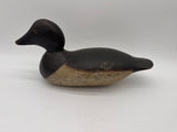 Mason goldeneye hen