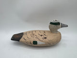 Widgeon Drake