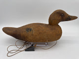 Hudson Mallard Hen