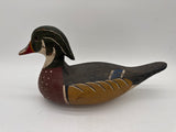 Wood duck drake