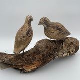 Antique quail decoys