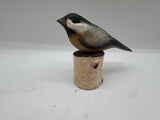 Chickadee