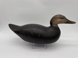 Mason Premier black duck