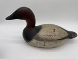 Mason Premier Canvasback Drake