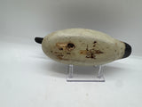 Mason bufflehead