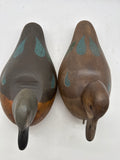 Blue wing teal pair