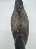 Mason mallard drake