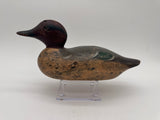 Mason green wing teal